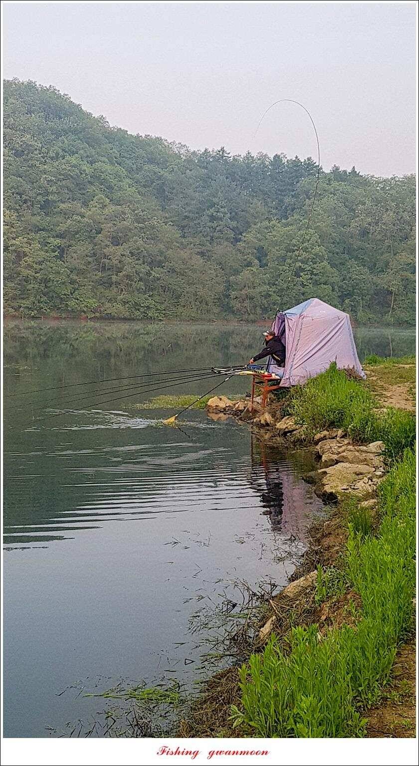 달천강화곡지 사짜칠성지 사짜 조황 (조황조행기 - 특파원조황)
