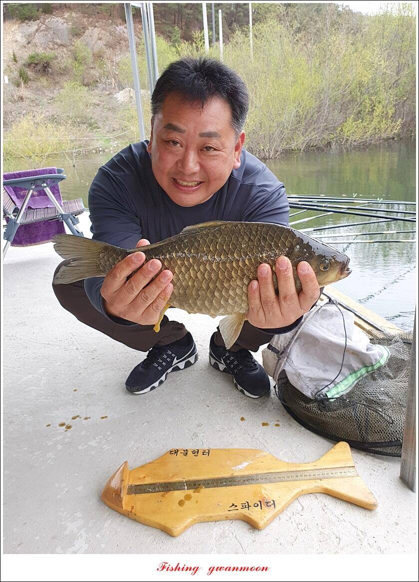 칠성지 465 cm화곡지 사짜 대물 조황 (조황조행기 - 특파원조황)
