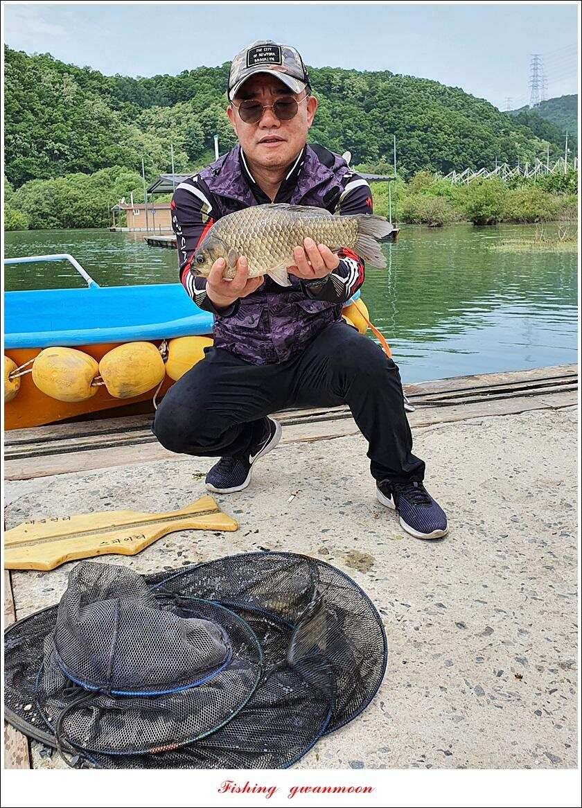 제일 4 짜돌감 39cm화곡지 대물 조황 (조황조행기 - 특파원조황)