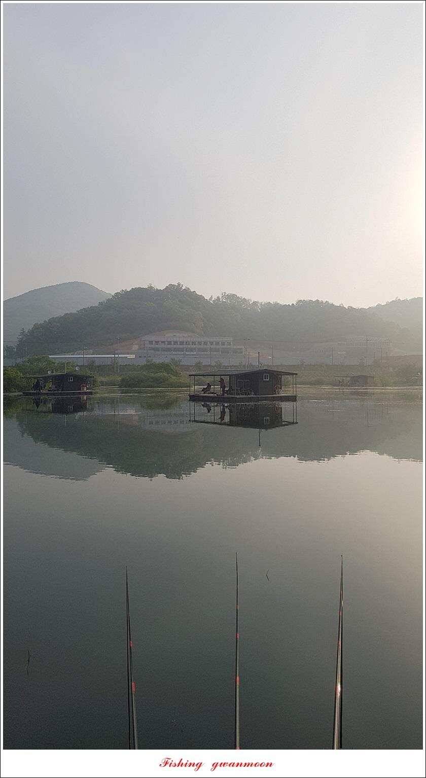 화곡지 사짜 마릿수칠성지 대물 조황 (조황조행기 - 특파원조황)