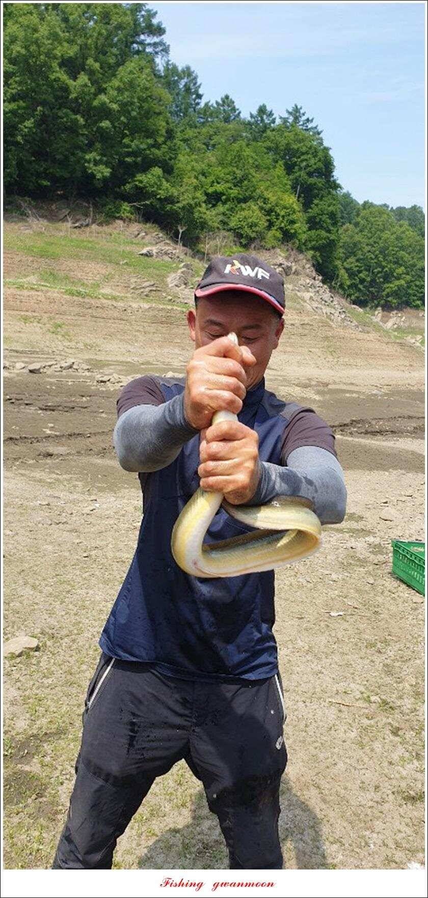 돌감 385 cm늘푸른 37cm35 cm월척 및 장어 조황 (조황조행기 - 특파원조황)