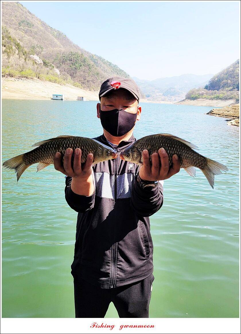 실리곡돌감 월척 조황 (조황조행기 - 특파원조황)