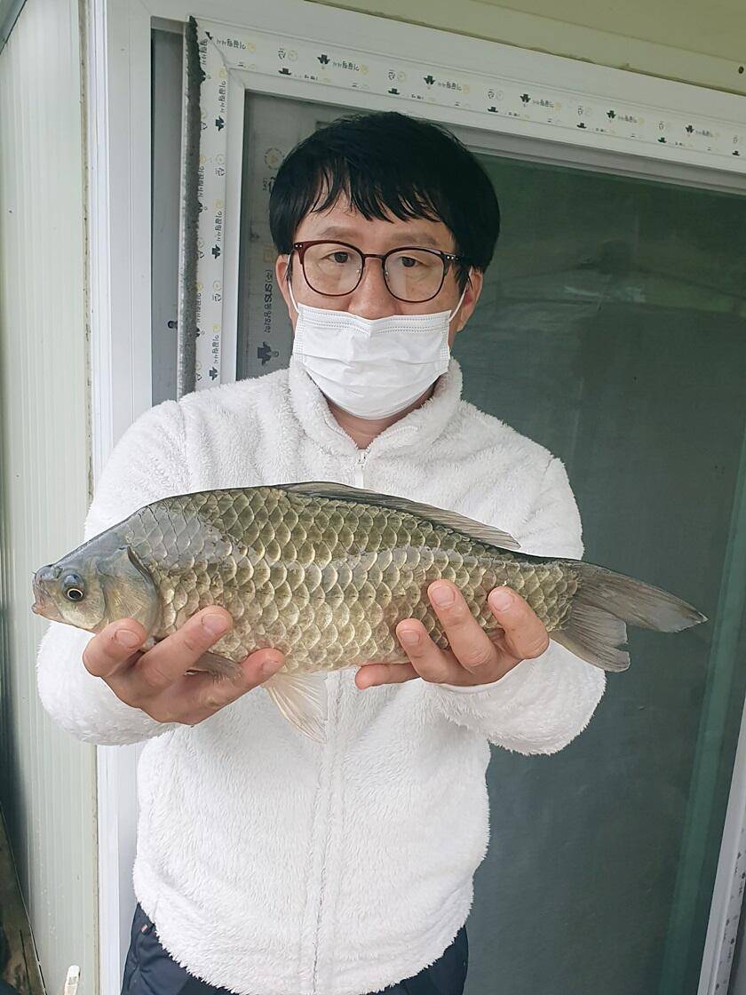 충주호 오름수위 (조황조행기 - 특파원조황)
