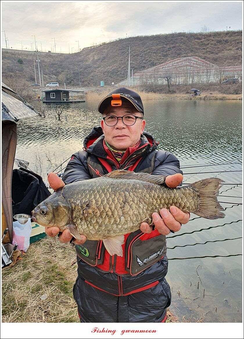 검단수로 43 cm화곡지 사짜 조황 (조황조행기 - 특파원조황)