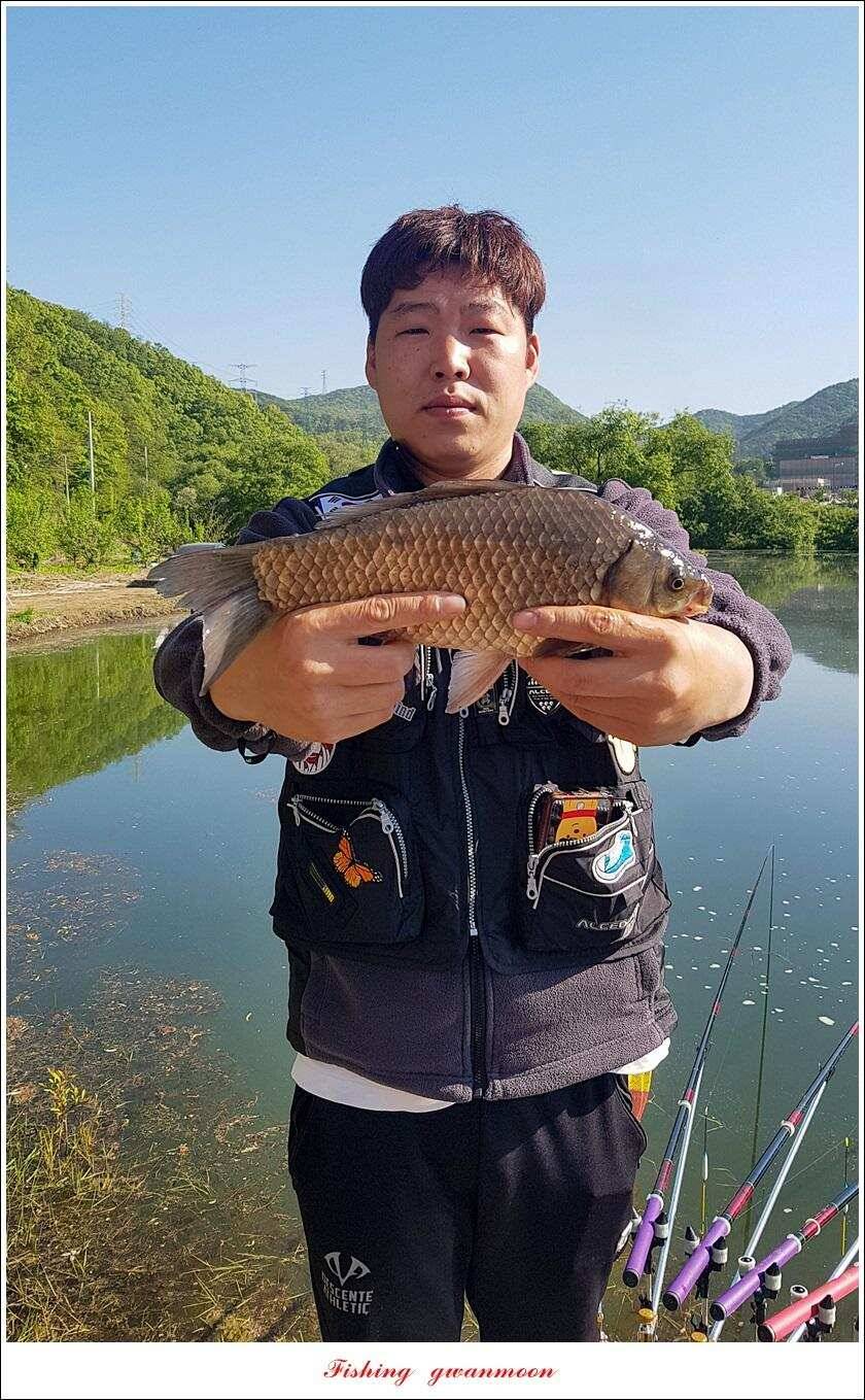 화곡지 사짜칠성지 사짜 대물 조황 (조황조행기 - 특파원조황)