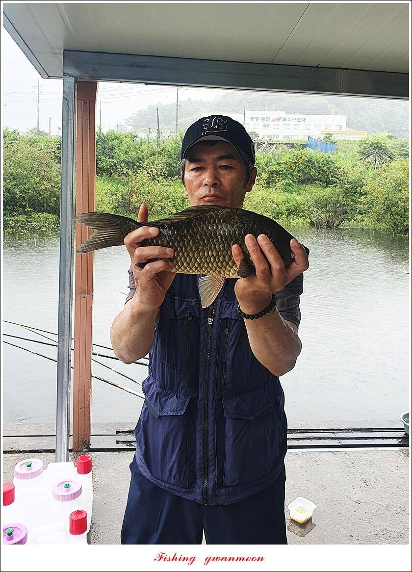 솔 낚시터 41 cm 대물화곡지 조황 (조황조행기 - 특파원조황)