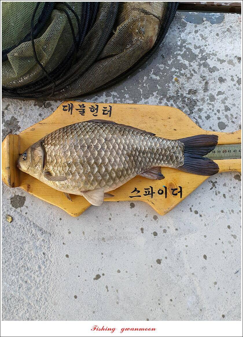 달천강화곡지칠성지 조황 (조황조행기 - 특파원조황)