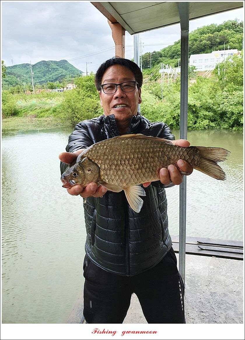 제일 435 cm415 cm문골 37 cm화곡지 4 짜 대물 조황 (조황조행기 - 특파원조황)