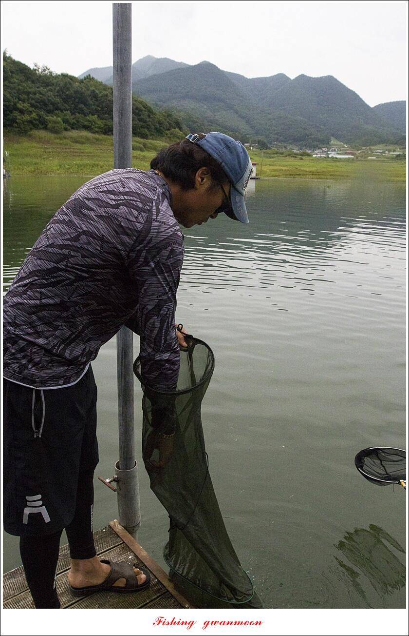 제일 4 짜 2 수돌감 4 짜목벌 4 짜 조황 (조황조행기 - 특파원조황)