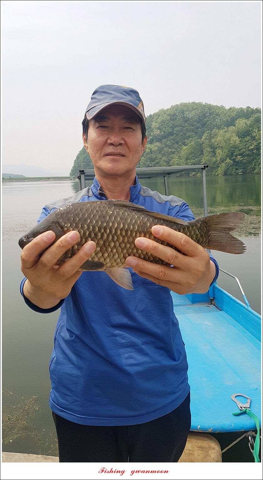 추평지 47 cm화곡지칠성지 조항 (조황조행기 - 특파원조황)