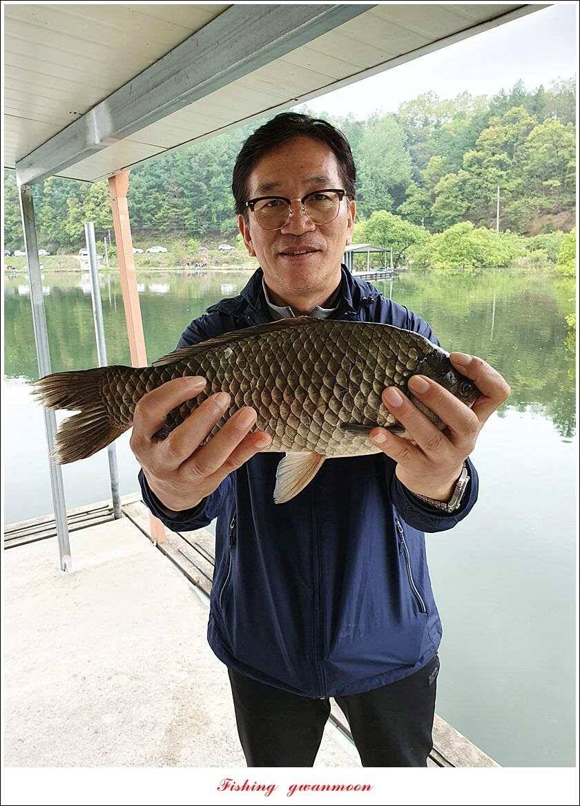 노지 4 짜신리 4 짜화곡지 4 짜 대물 조황 (조황조행기 - 특파원조황)