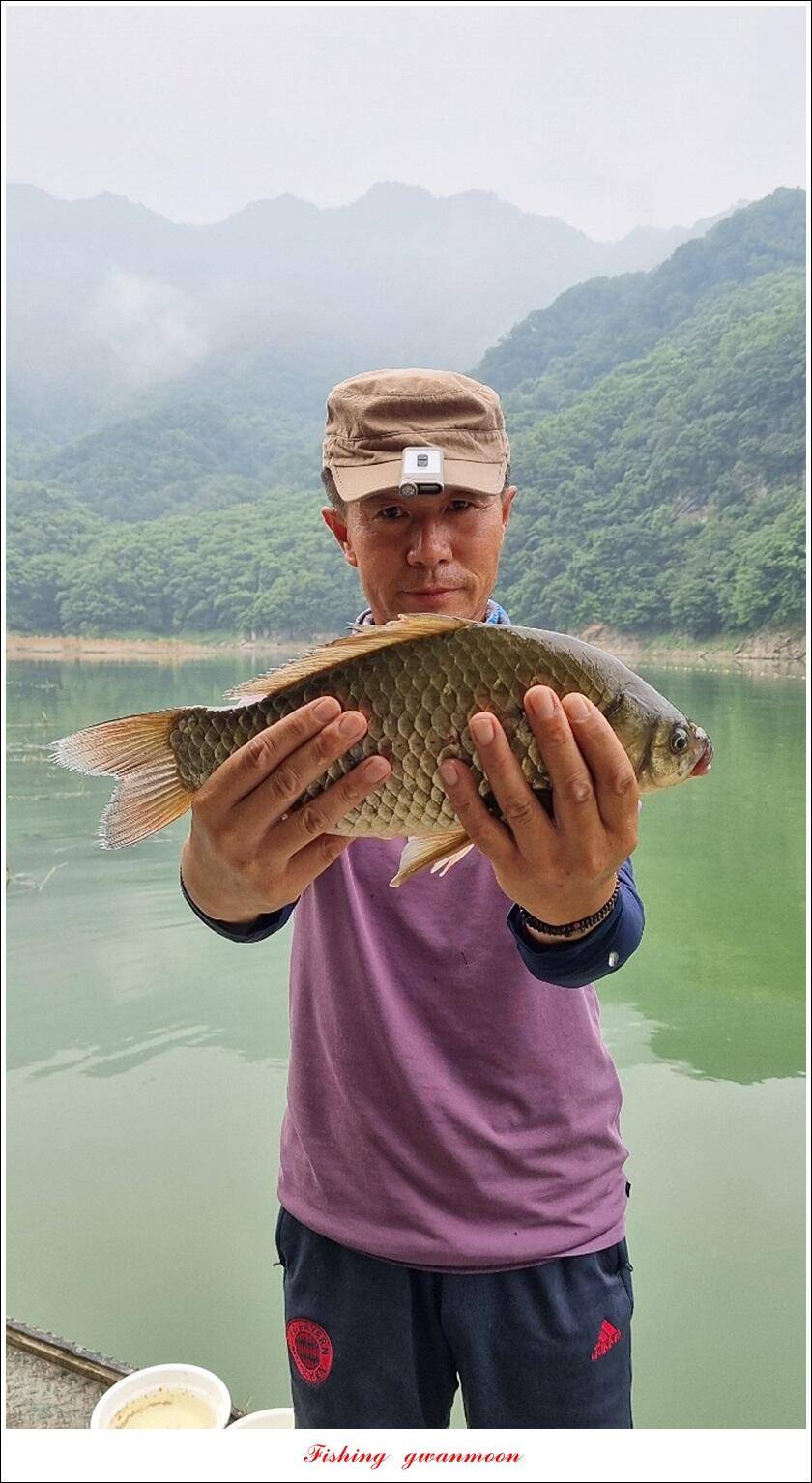 문골 42 cm명서 40 cm 달천강화곡지 조황 (조황조행기 - 특파원조황)