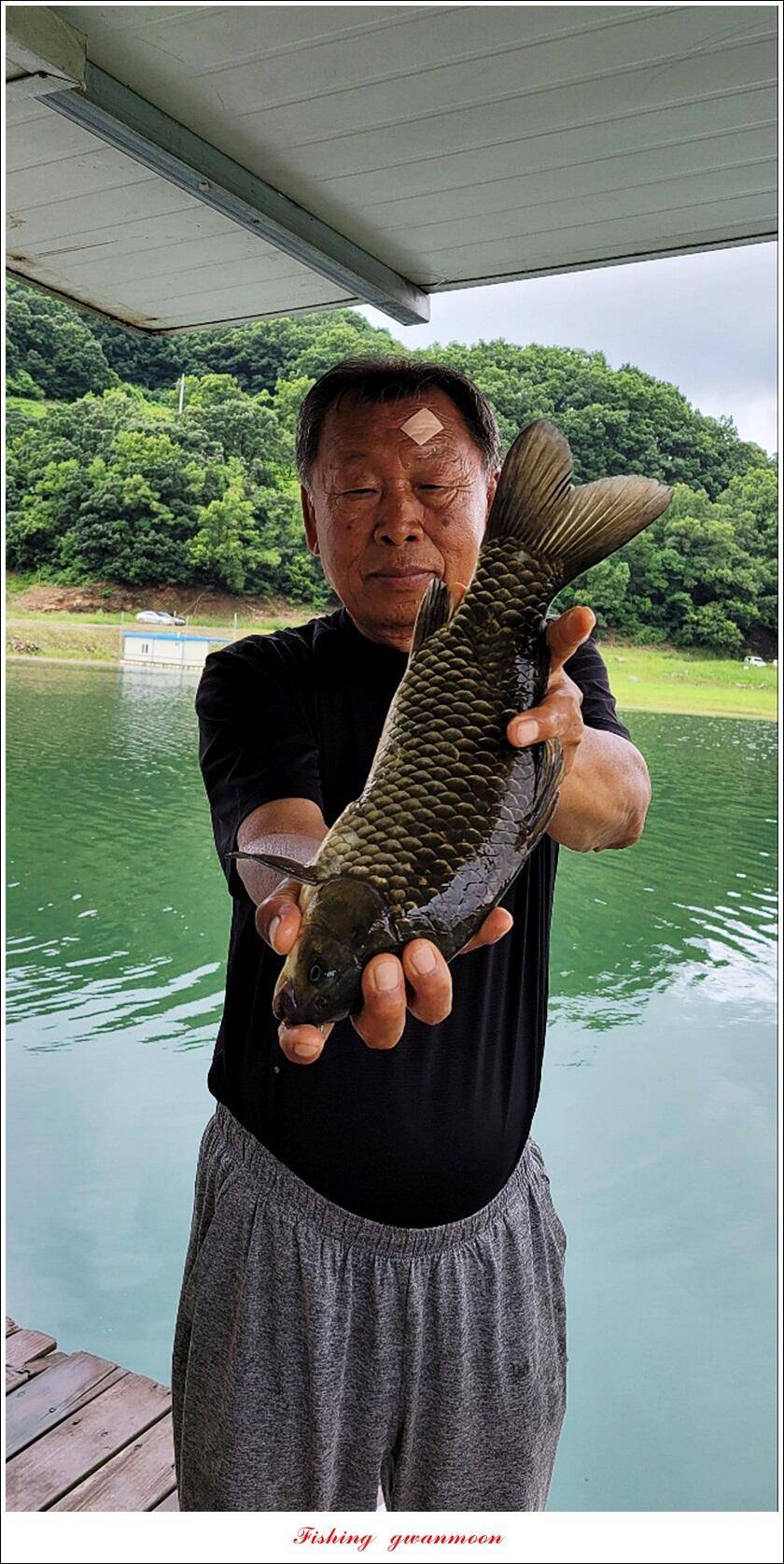 한버들 4 짜 2 수신리 4 짜명서 4 짜 및 충주호 노지 현황 (조황조행기 - 특파원조황)