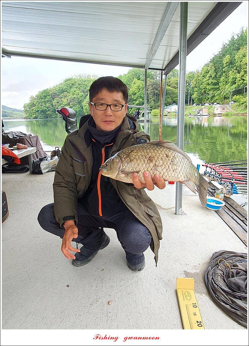 한버들 44 cm신리 415 cm41 cm실리곡 4 자돌감 4 짜화곡지 4 짜솔 37 cm 조황 정보 (조황조행기 - 특파원조황)