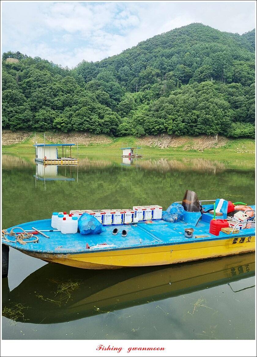 명서 노지 4 짜 마릿수돌감 4 짜사오리 4 짜솔 4 짜 대물 조황 (조황조행기 - 특파원조황)