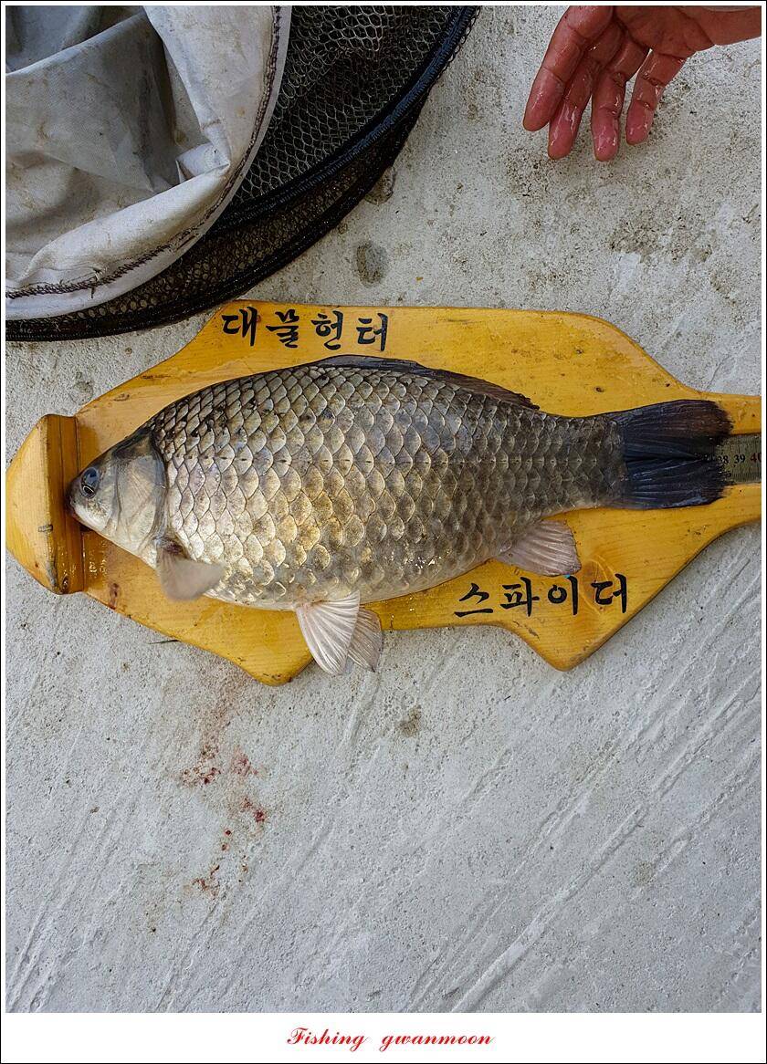 달천강화곡지칠성지 조황 (조황조행기 - 특파원조황)
