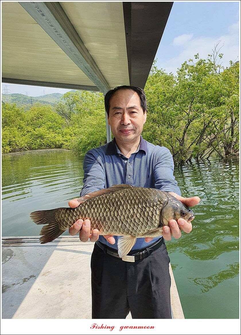 노지 4 짜신리 4 짜화곡지 4 짜 대물 조황 (조황조행기 - 특파원조황)