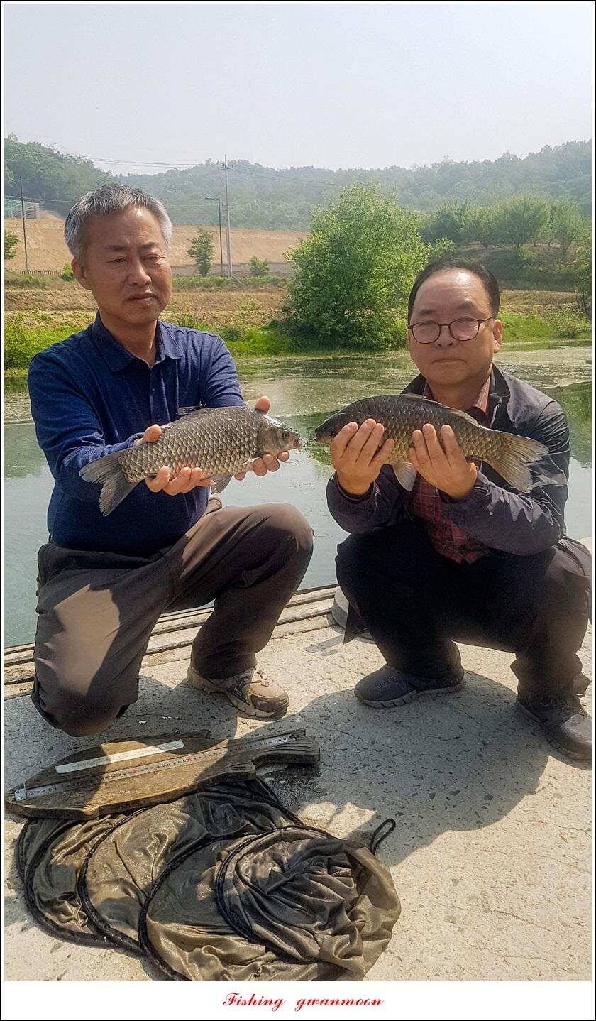 달천강화곡지 사짜칠성지 사짜 조황 (조황조행기 - 특파원조황)