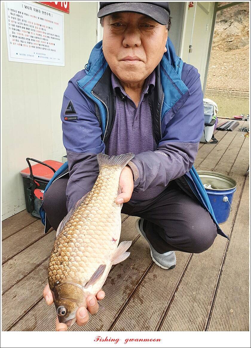 신리 44 cm실리곡 41 cm돌감 405 cm칠성지 대물 조황 (조황조행기 - 특파원조황)