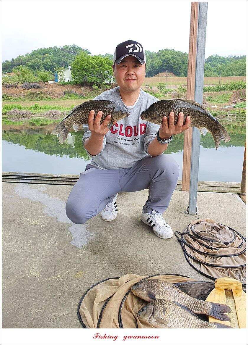 제일 435 cm415 cm문골 37 cm화곡지 4 짜 대물 조황 (조황조행기 - 특파원조황)