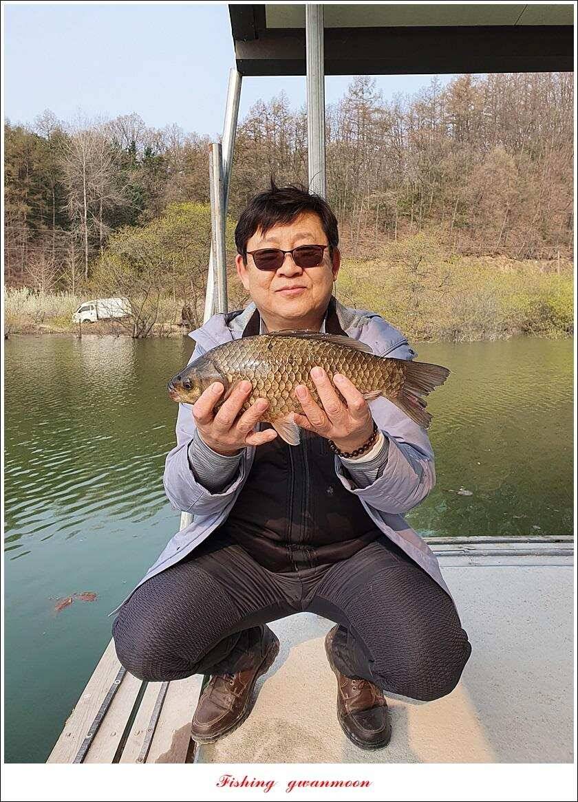 한버들 4 짜노지39 cm화곡지 사짜 조황 (조황조행기 - 특파원조황)