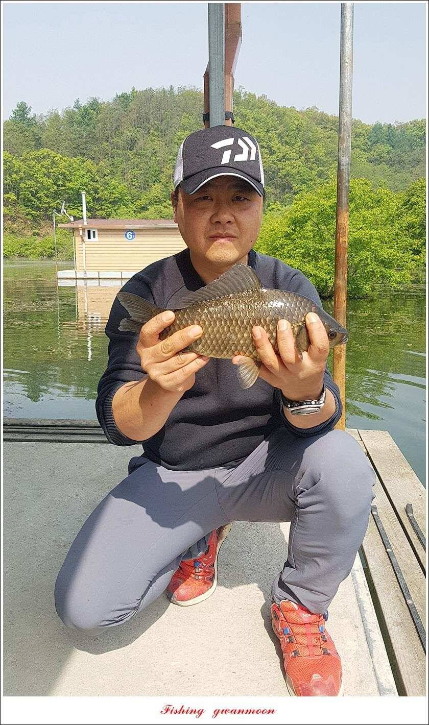 화곡지 사짜 마릿수칠성지 대물 조황 (조황조행기 - 특파원조황)