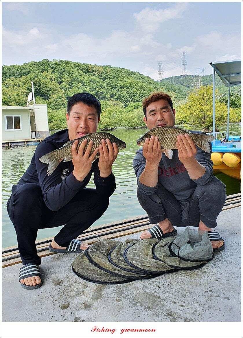 제일 4 짜돌감 39cm화곡지 대물 조황 (조황조행기 - 특파원조황)