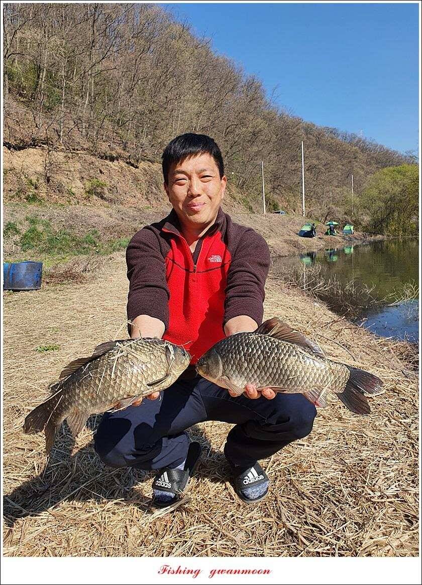 한버들 4 짜노지39 cm화곡지 사짜 조황 (조황조행기 - 특파원조황)
