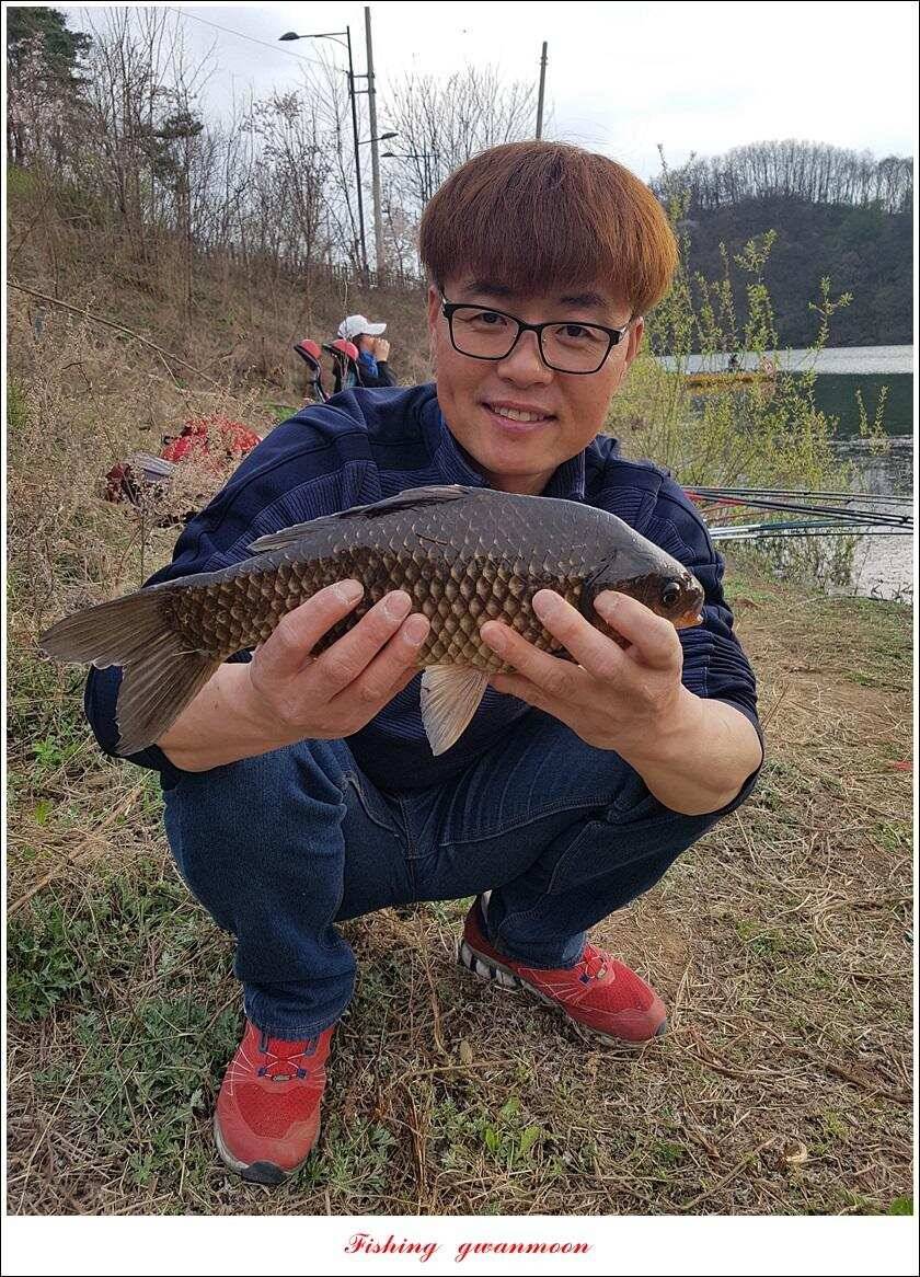 제일 39 cm 대물 조황화곡지칠성지 조황 (조황조행기 - 특파원조황)