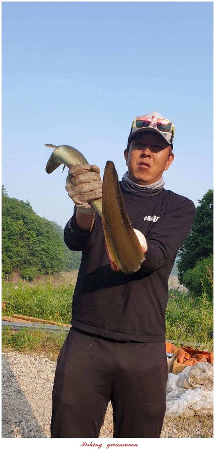 돌감 385 cm늘푸른 37cm35 cm월척 및 장어 조황 (조황조행기 - 특파원조황)