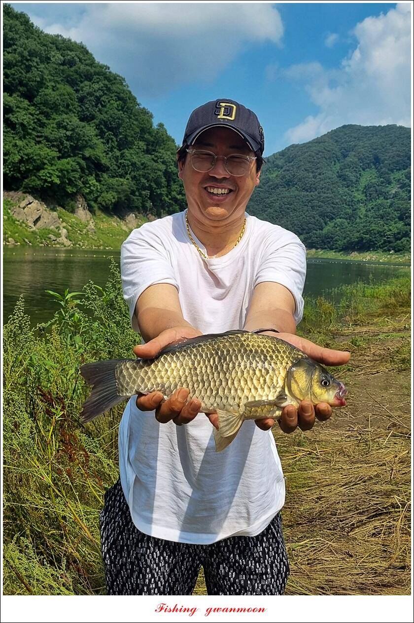 충주호 2 차 오름수위명서목벌화곡지 조황 (조황조행기 - 특파원조황)