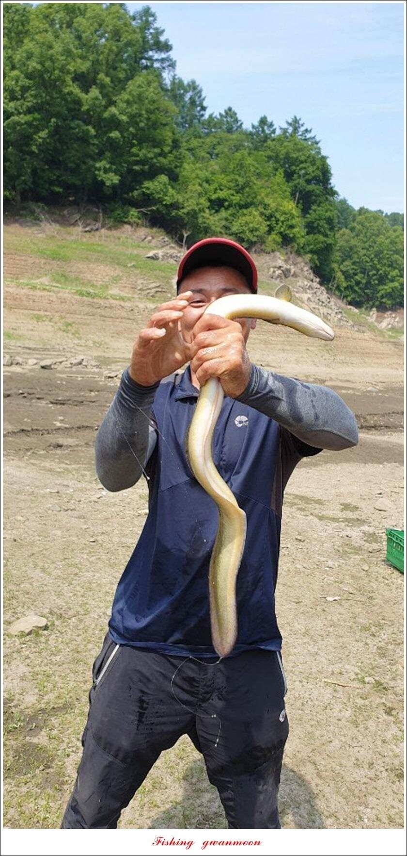 돌감 385 cm늘푸른 37cm35 cm월척 및 장어 조황 (조황조행기 - 특파원조황)