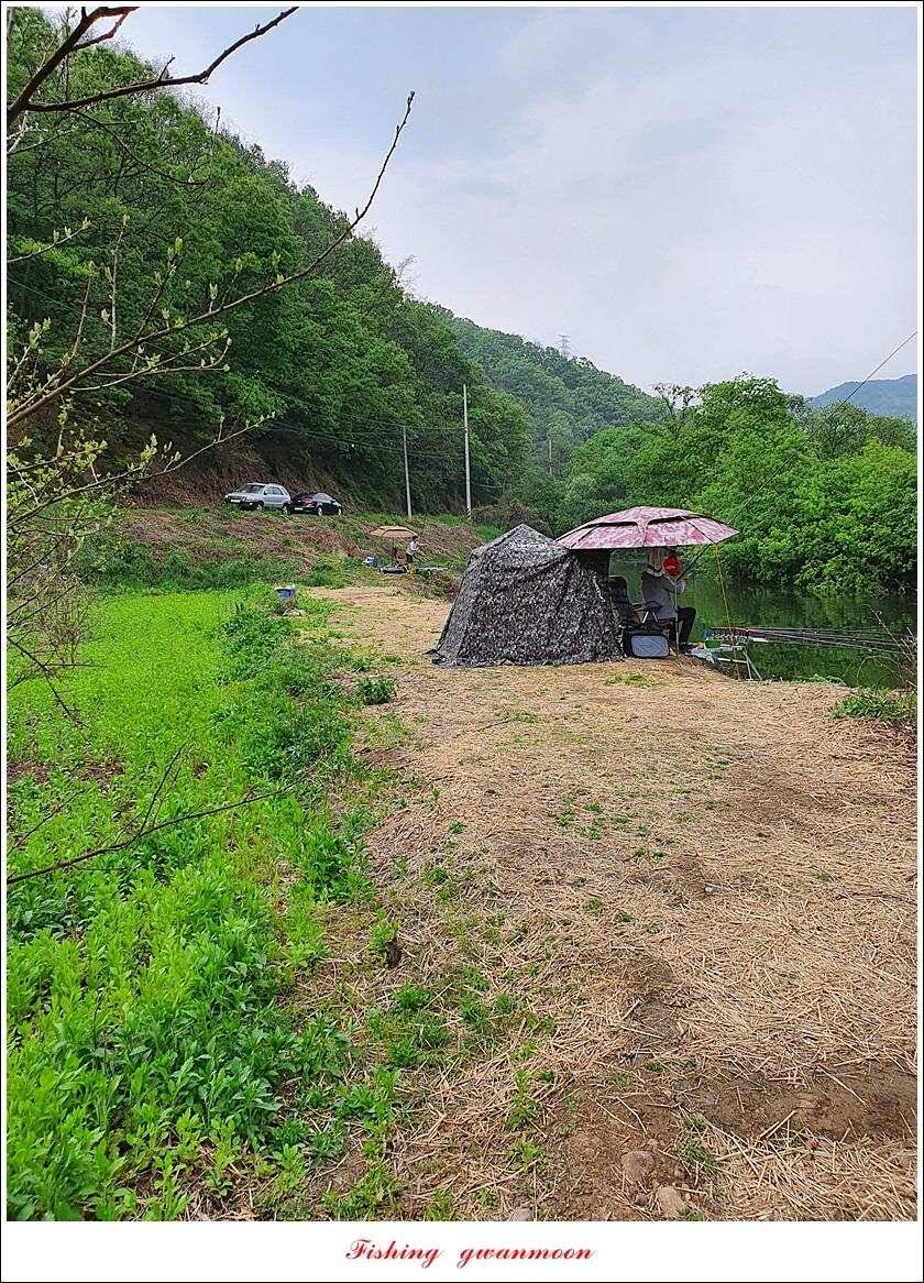 노지 4 짜신리 4 짜화곡지 4 짜 대물 조황 (조황조행기 - 특파원조황)