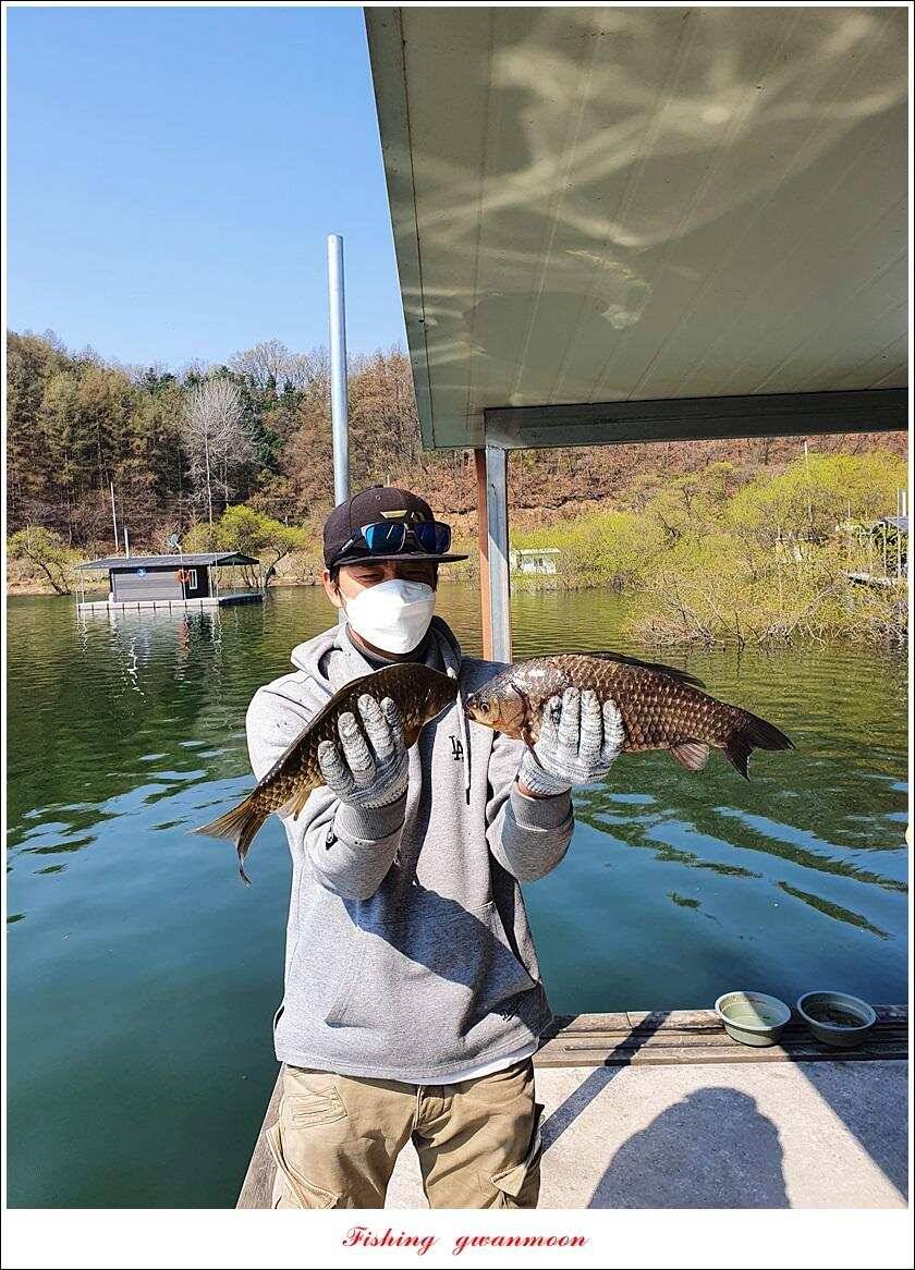 한버들 4 짜노지39 cm화곡지 사짜 조황 (조황조행기 - 특파원조황)