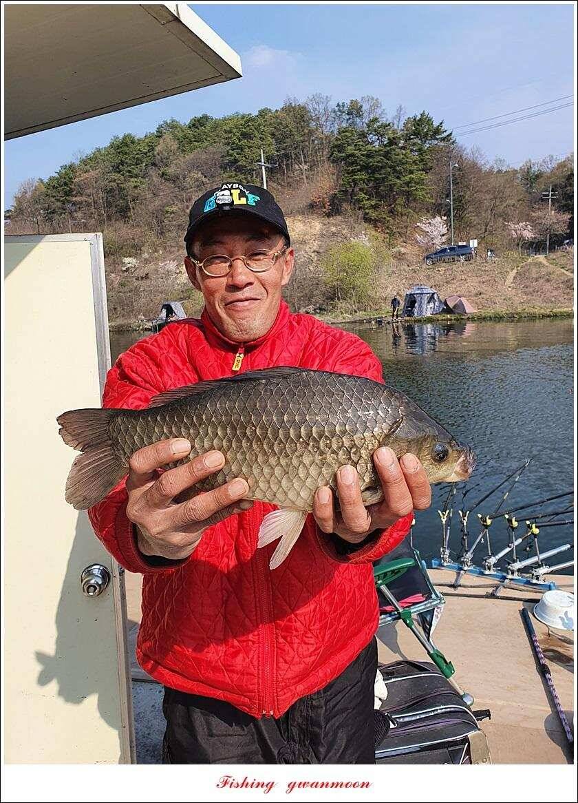 한버들 4 짜노지39 cm화곡지 사짜 조황 (조황조행기 - 특파원조황)