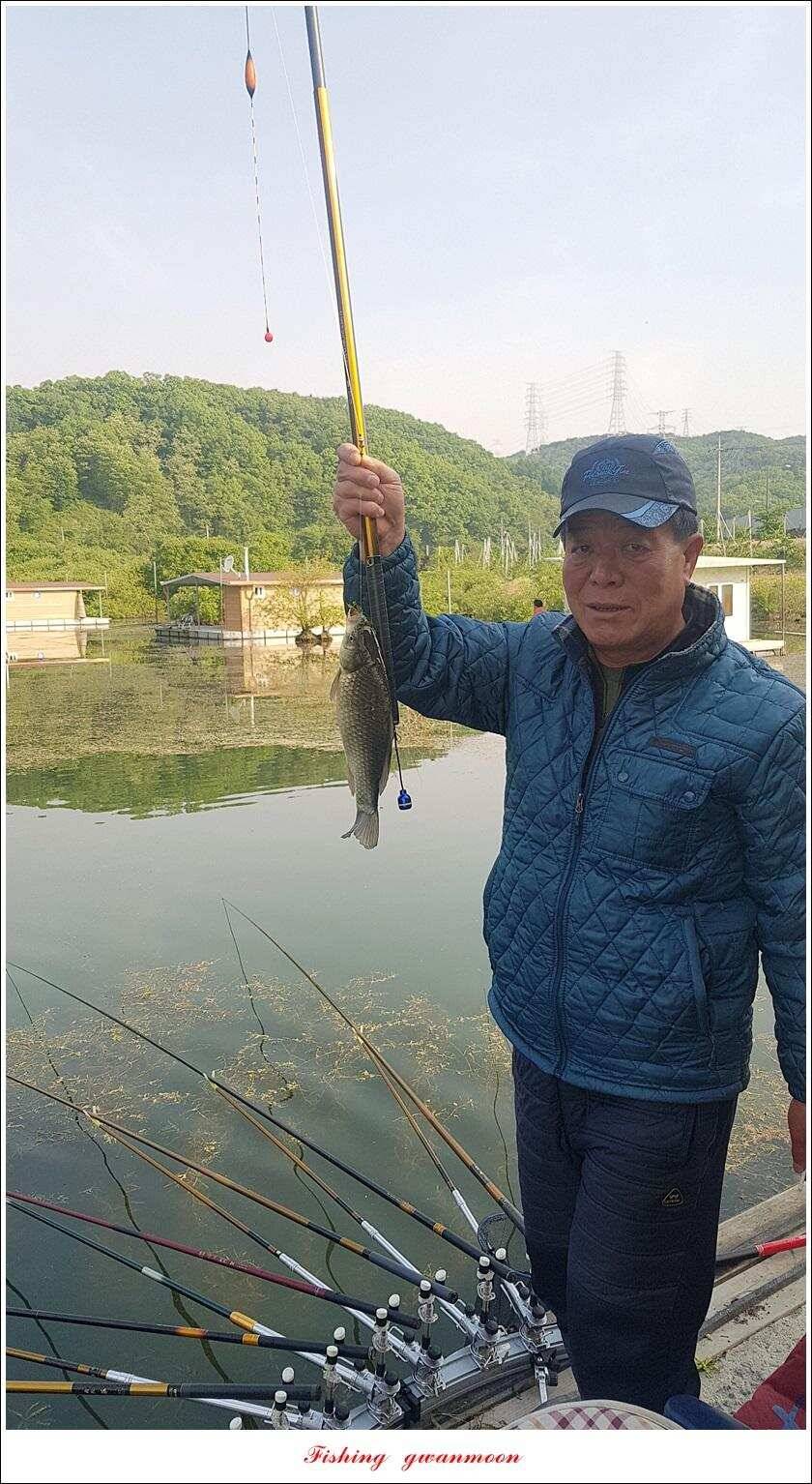 추평지 47 cm화곡지칠성지 조항 (조황조행기 - 특파원조황)