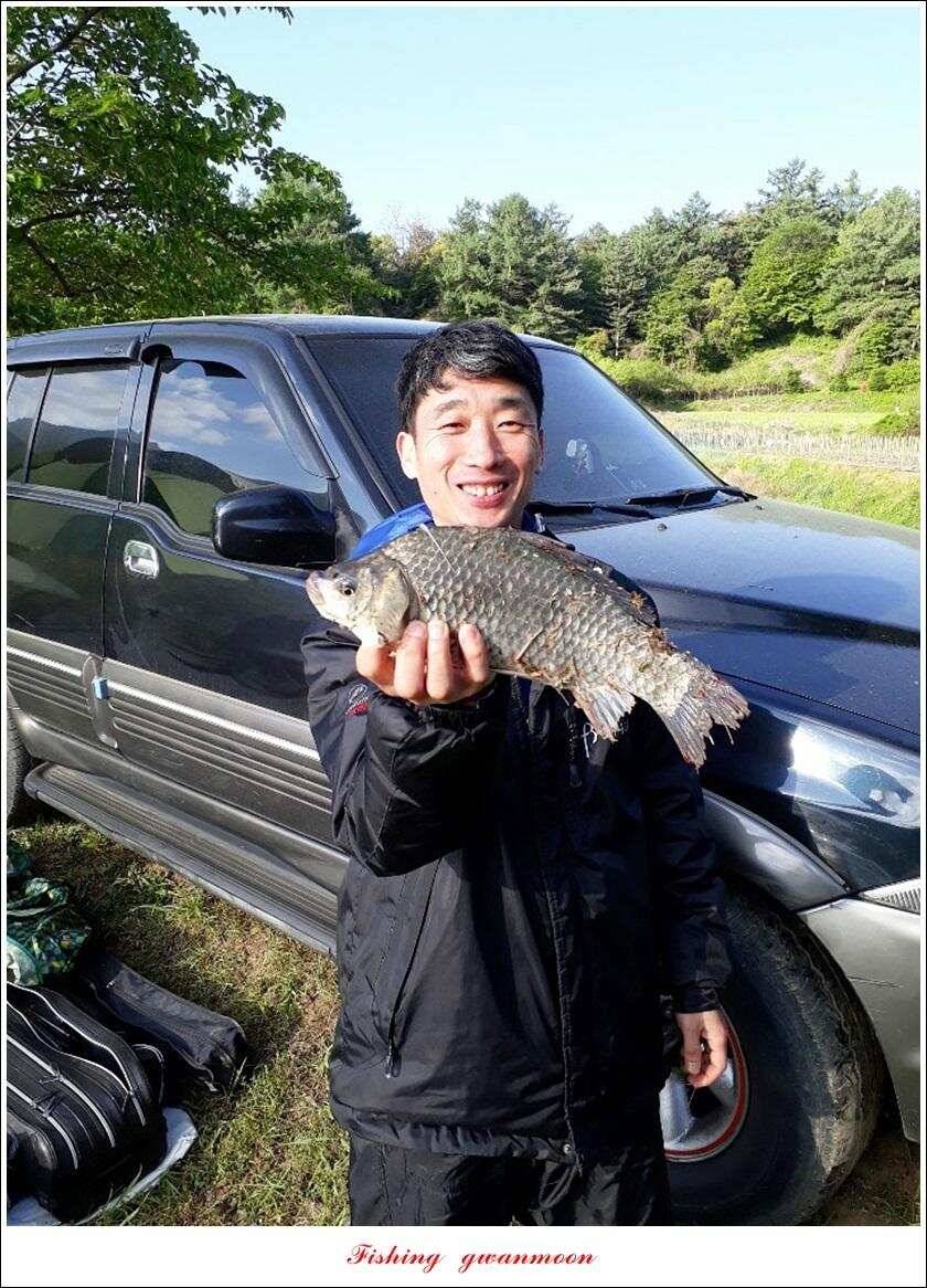 화곡지 사짜 마릿수칠성지 대물 조황 (조황조행기 - 특파원조황)