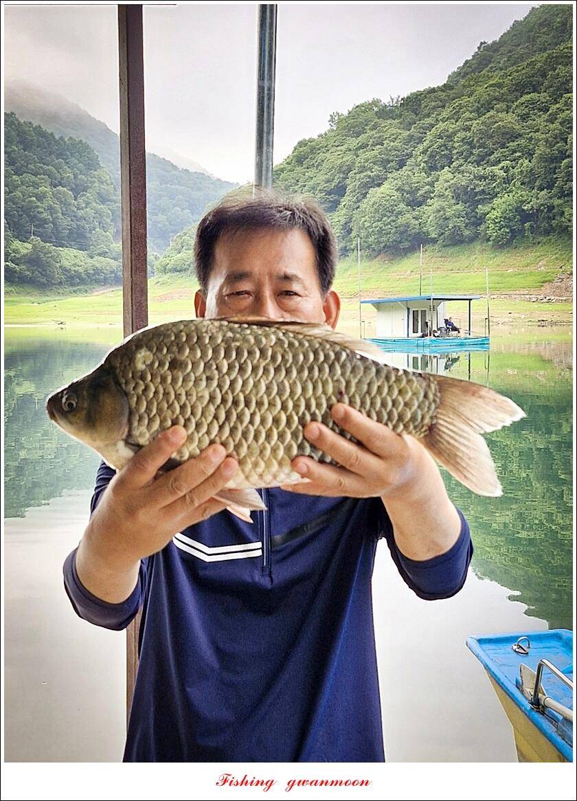 사오리 445 cm41 cm 대물 조황 (조황조행기 - 특파원조황)