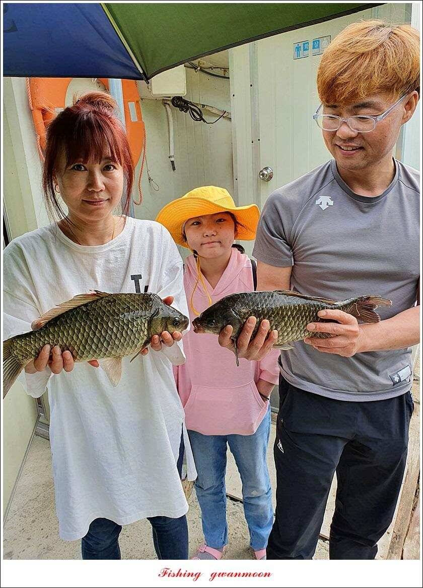 노지 4 짜신리 4 짜화곡지 4 짜 대물 조황 (조황조행기 - 특파원조황)