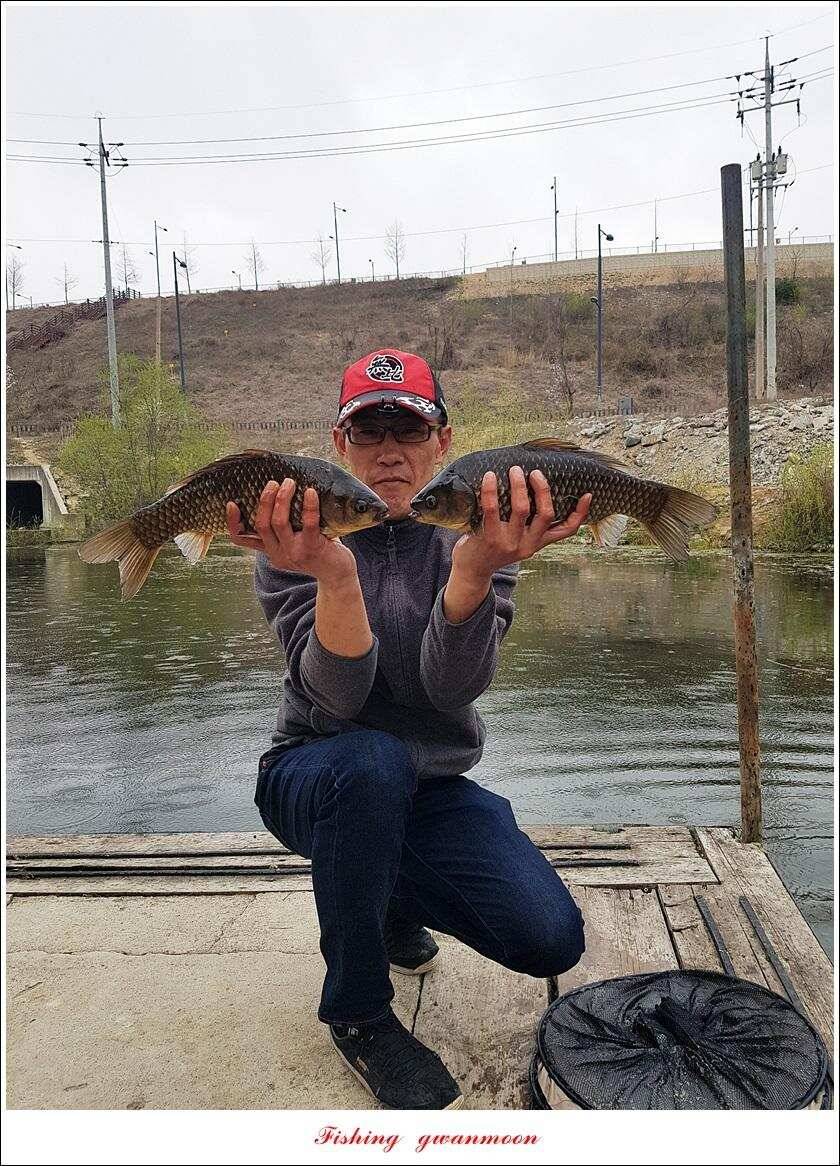 화곡지 사짜칠성지갈마늪대제지추평지 조황 (조황조행기 - 특파원조황)
