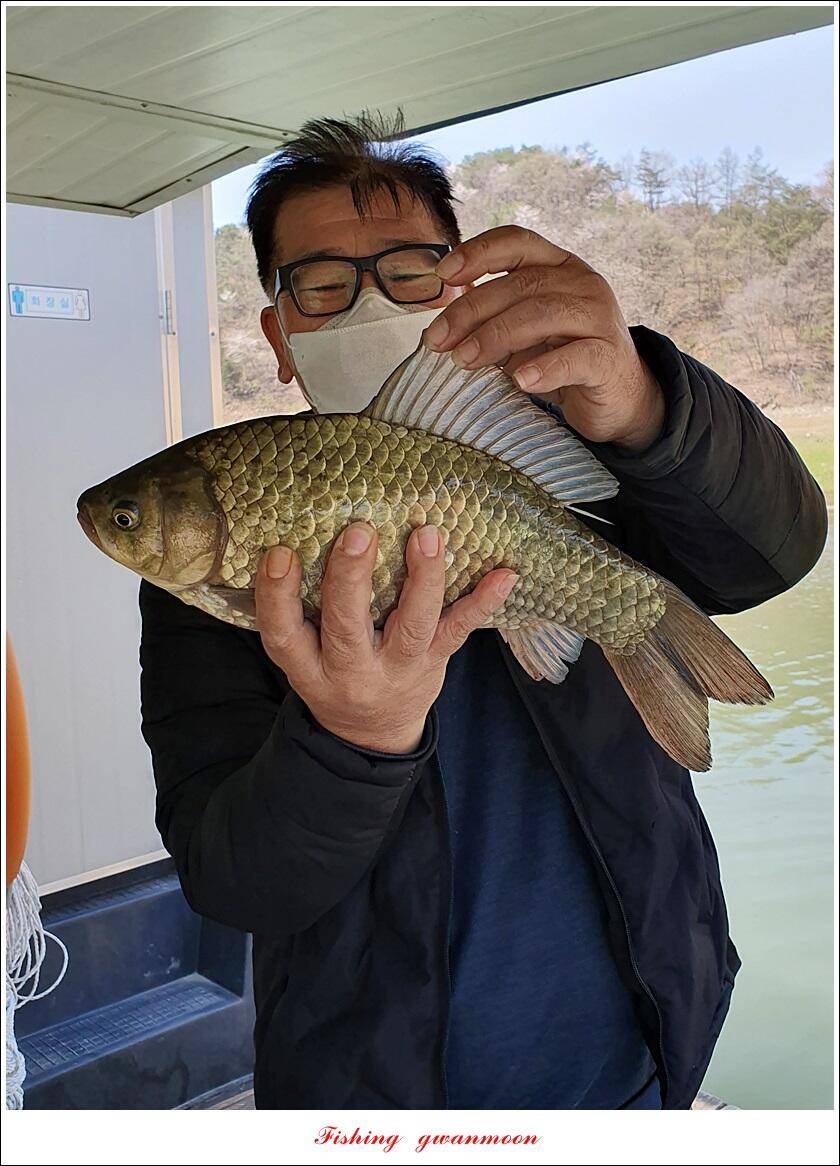 신리 4 짜 7 수실리곡 4 짜 4 수한버들 4 짜 3 수 (조황조행기 - 특파원조황)