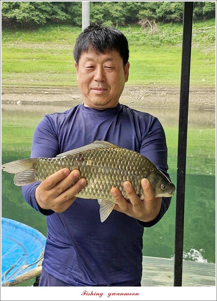 사오리 445 cm41 cm 대물 조황 (조황조행기 - 특파원조황)