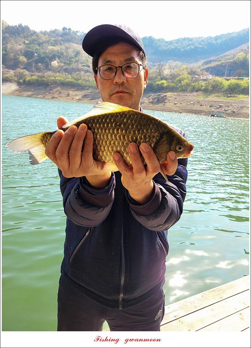 실리곡돌감 월척 조황 (조황조행기 - 특파원조황)