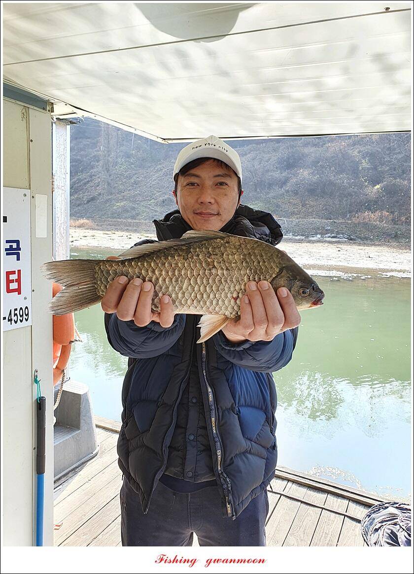 실리곡 41 cm40 cm광월지 43 cm대물 조황 (조황조행기 - 특파원조황)