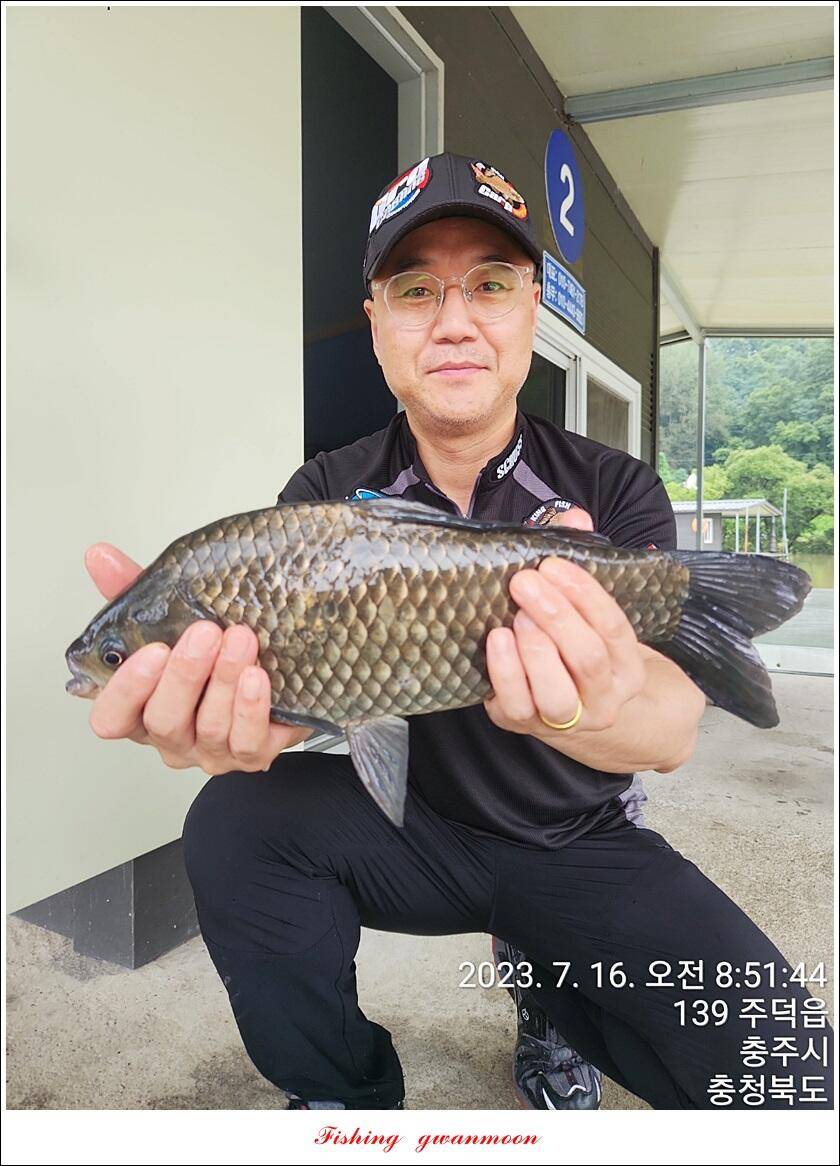 솔 4 짜돌감화곡지 대물 조황 (조황조행기 - 특파원조황)