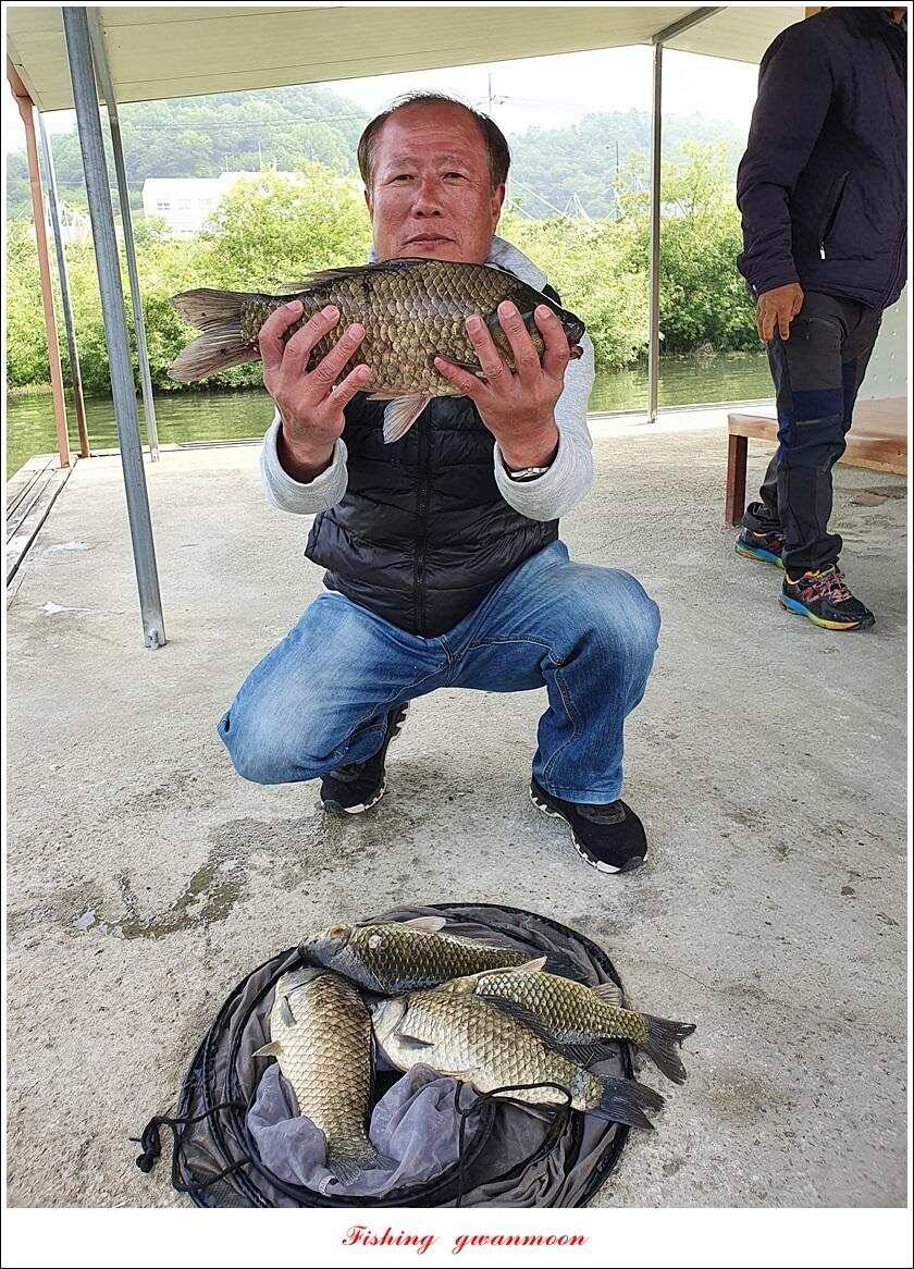 제일 435 cm415 cm문골 37 cm화곡지 4 짜 대물 조황 (조황조행기 - 특파원조황)