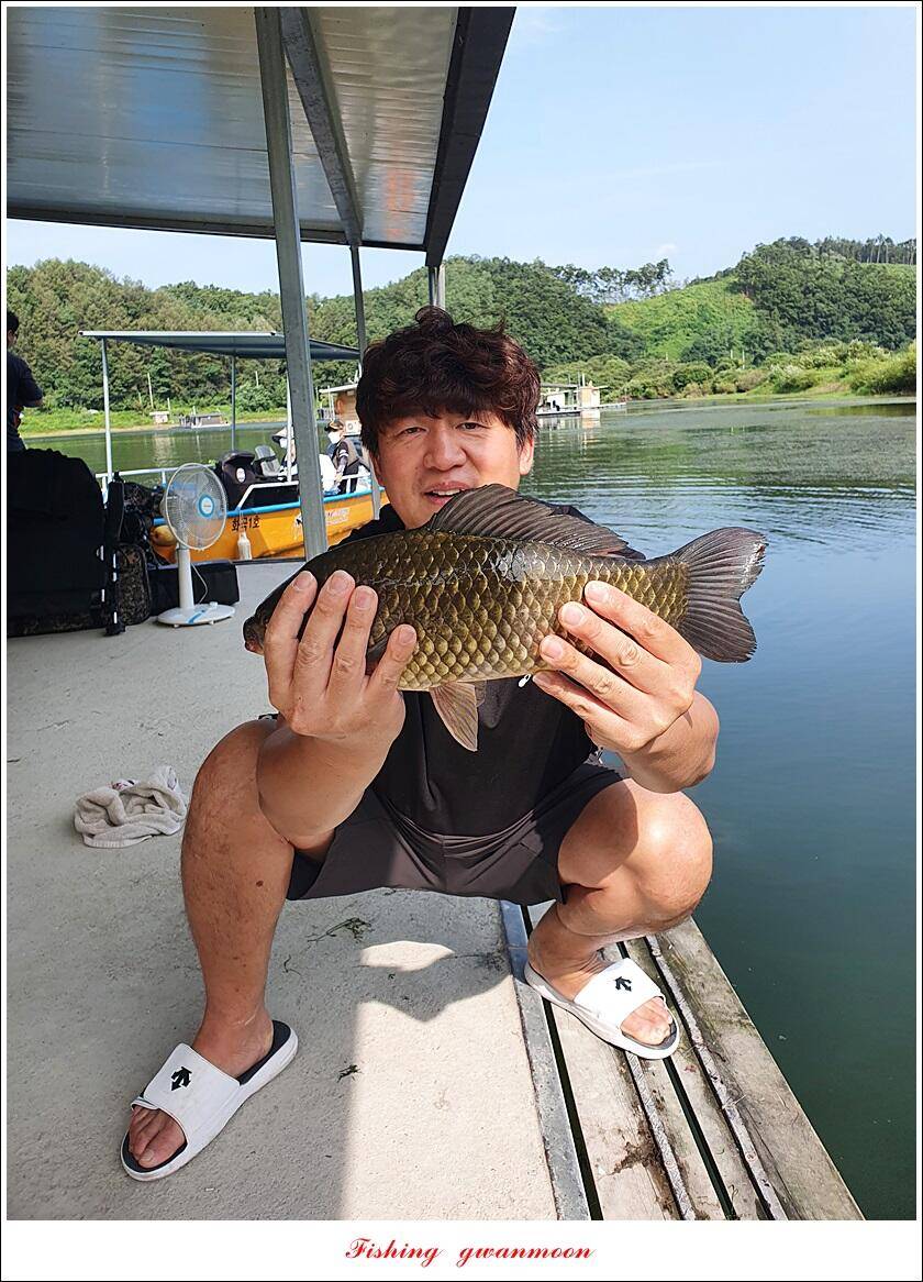 충주호 오름수위화곡지 조황 (조황조행기 - 특파원조황)
