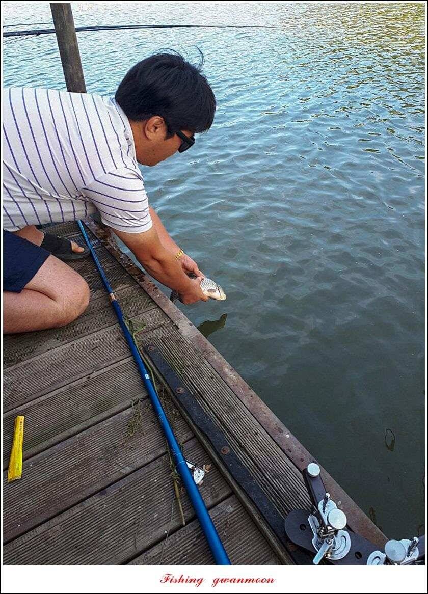 신매 44 cm 대물돌감 4 짜늘푸른제일 월척 조황 (조황조행기 - 특파원조황)
