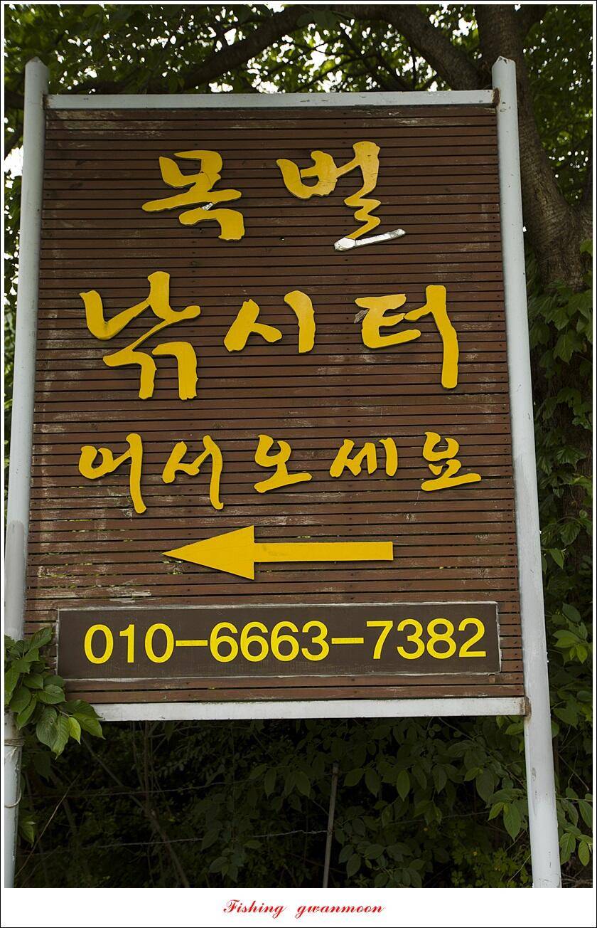 목벌 4 짜 마릿수 조황 (조황조행기 - 특파원조황)