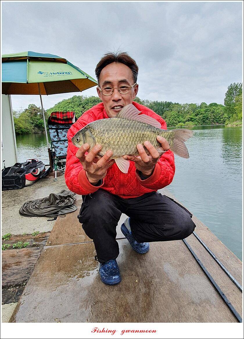 한버들 44 cm신리 415 cm41 cm실리곡 4 자돌감 4 짜화곡지 4 짜솔 37 cm 조황 정보 (조황조행기 - 특파원조황)